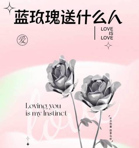 复合后选择玫瑰花的意义是什么？
