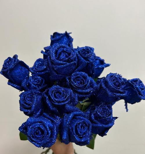 海洋兰玫瑰的花语有哪些特别之处？