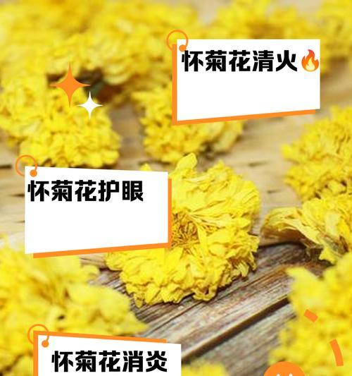 怀菊花花语象征与寓意是什么？冰城离别的花语又是什么？