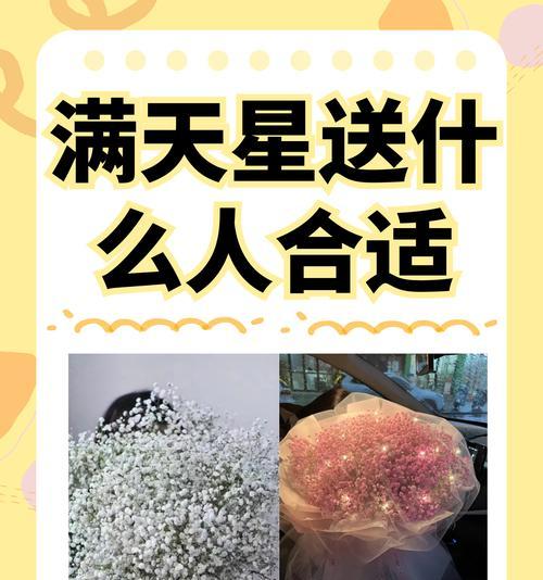 六支花束的花语是什么？它代表了什么样的情感？