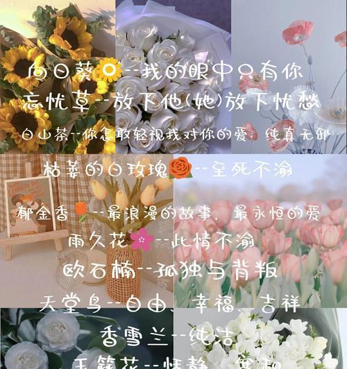 盛大花语的花有哪些？