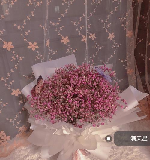 丈夫送满天星代表了什么花语？