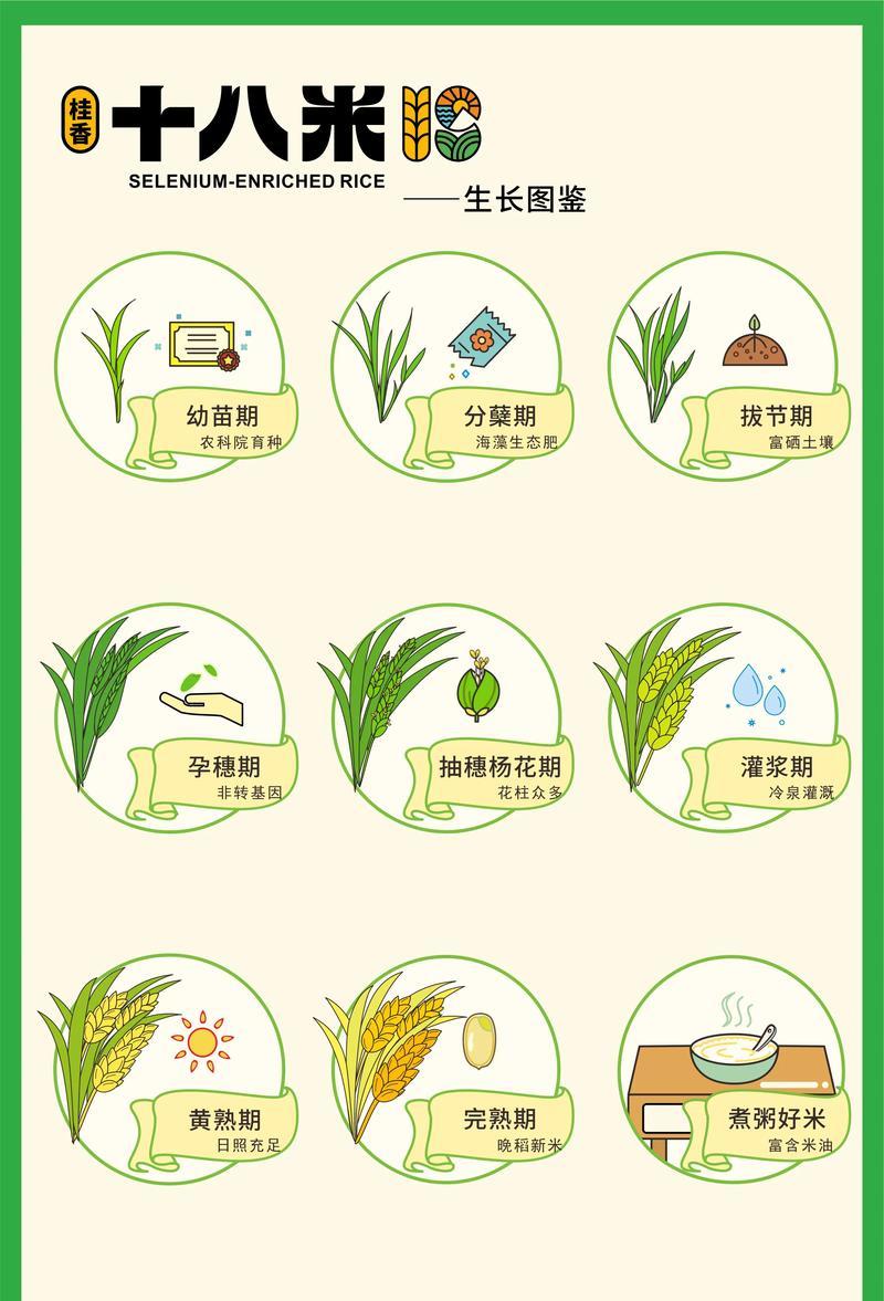 观赏谷子怎么种？种植过程中需要注意什么？