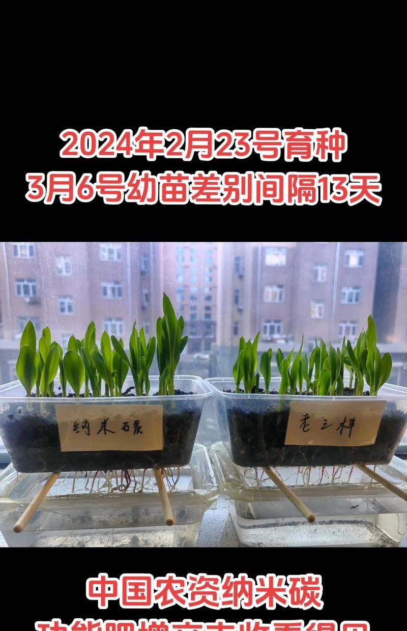 观赏谷子怎么种？种植过程中需要注意什么？