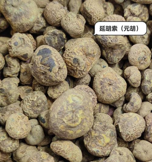 裸茎延胡索的正确种植步骤是什么？