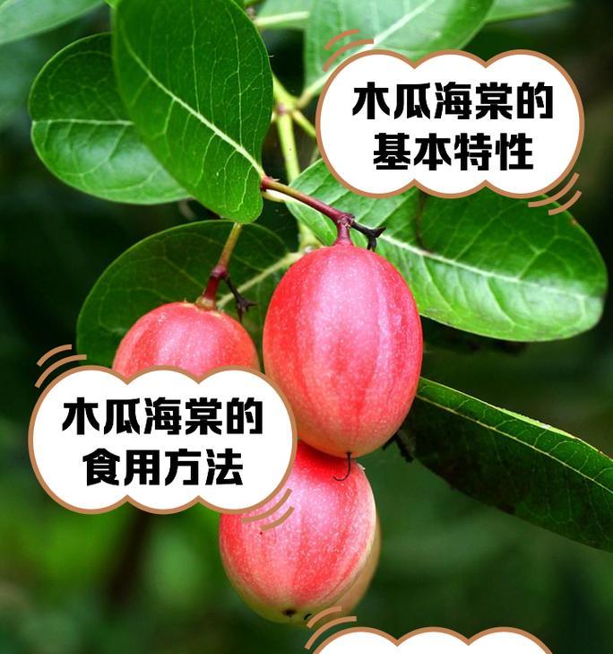 木瓜海棠怎么种？木瓜海棠的种植和养护技巧是什么？