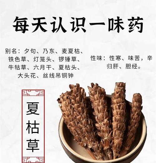 夏枯草如何种植？种植过程中有哪些常见问题？
