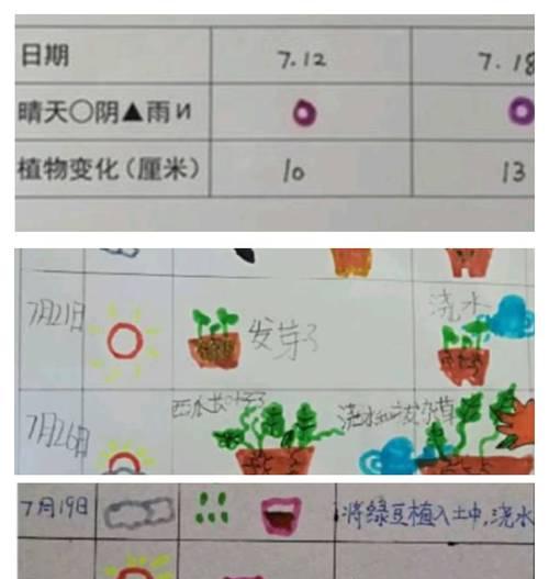 矮小襄颖草如何种植？矮小襄颖草的种植技巧是什么？