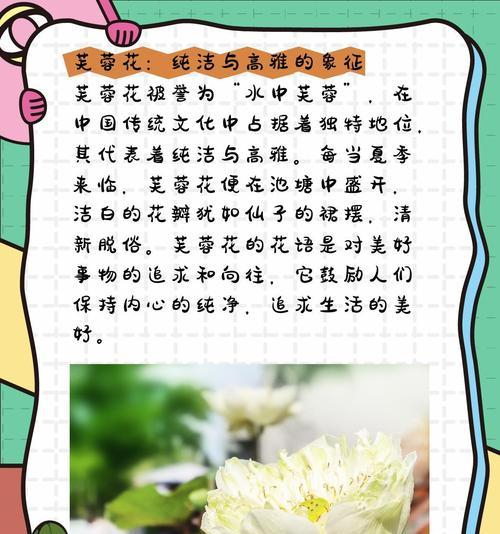 芙蓉花的最佳播种时间是什么时候？播种前需要准备什么？