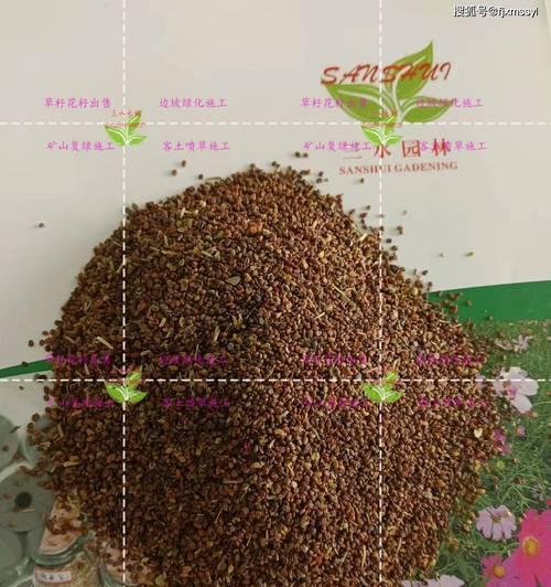 草籽播种每平米需要多少克？播种时的最佳密度是多少？