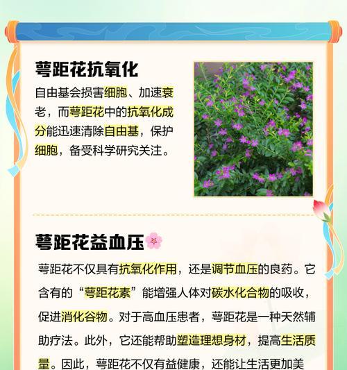 萼距花如何种植？萼距花的种植技巧有哪些？