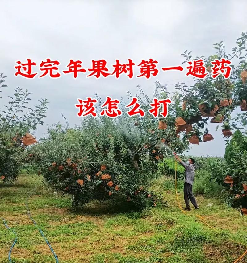 三月苹果树如何管理？有哪些技术要点？