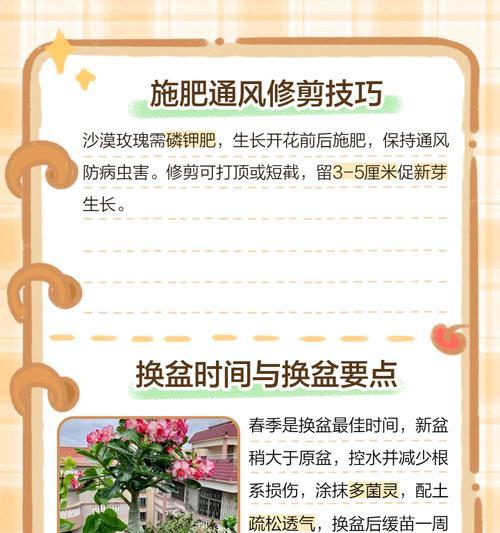 沙漠玫瑰怎么养殖？养殖沙漠玫瑰有哪些技巧和注意事项？