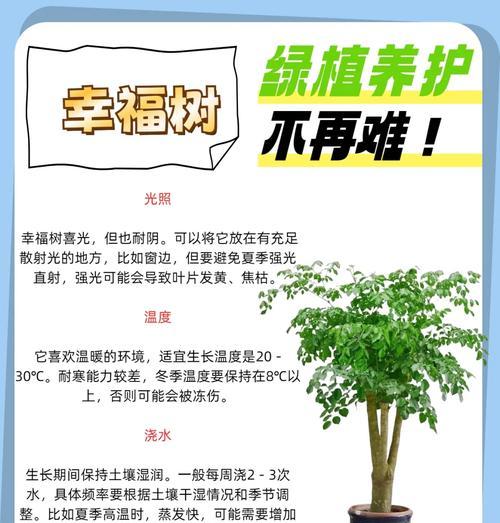 树苗需要多久才能长大？如何促进树苗快速成长？