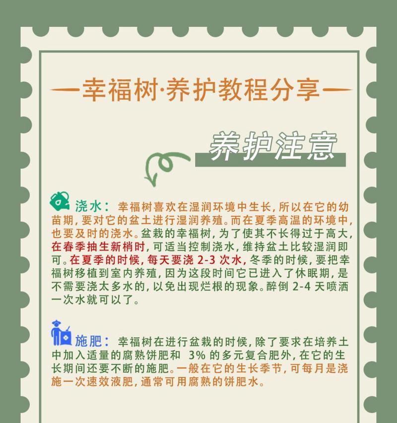 树苗需要多久才能长大？如何促进树苗快速成长？