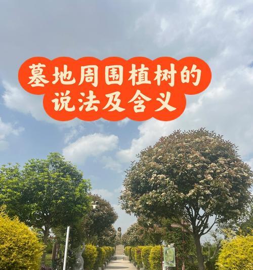 坟地适合种植哪些树种？种植时应注意什么问题？