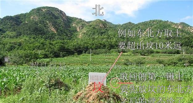 坟地适合种植哪些树种？种植时应注意什么问题？