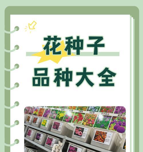 网上买花种子靠谱吗？购买时应该注意哪些问题？