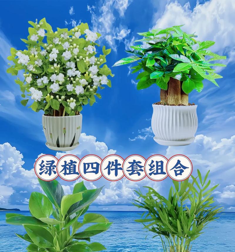 有哪些植物能保持四季常绿？