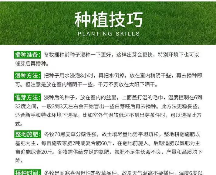 花卉种子撒播有哪些技术要求？撒播过程中应注意什么？