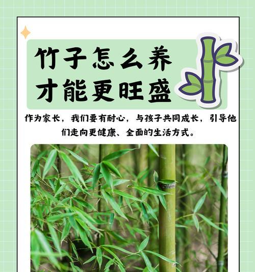菲黄竹种植需要注意什么？如何确保其快速生长？