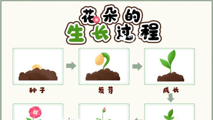 哪些绿化花卉的生长周期较长？周期长的花卉种植有哪些难点？