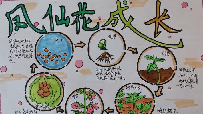 哪些绿化花卉的生长周期较长？周期长的花卉种植有哪些难点？