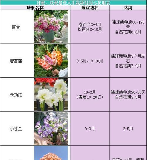 哪些绿化花卉的生长周期较长？周期长的花卉种植有哪些难点？