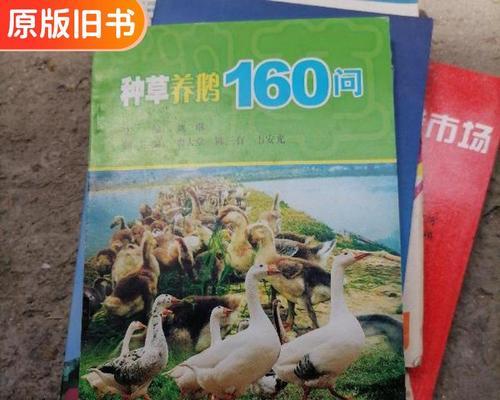 养鹅时种草有哪些好看的选择？