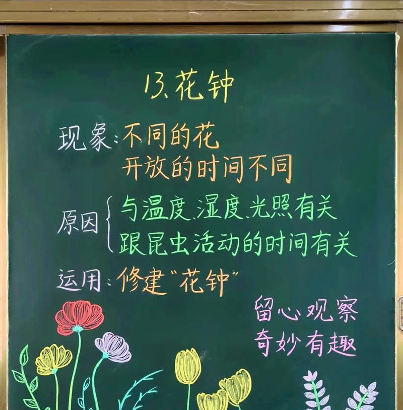 数字13的花语有何特别含义？它在花语中象征着什么？