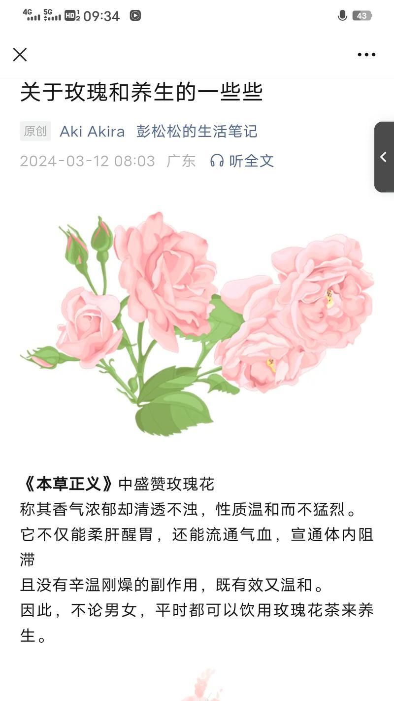 单朵玫瑰花的含义有哪些？