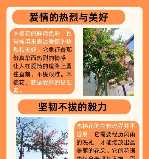 迎着春风的花语有何含义？它代表了什么？
