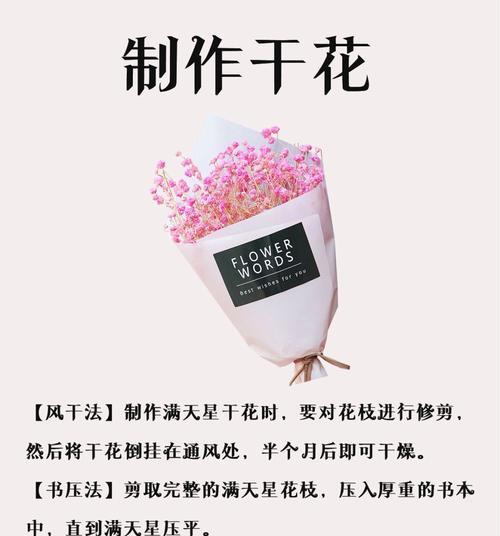 哪种花的花语暗示着离开？