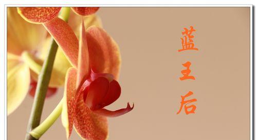 花语和岸为何受到众多购买者青睐？