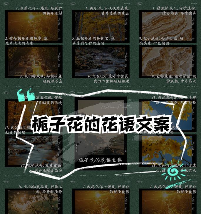 祭奠上坟时应选择哪种花语？花语背后的意义是什么？