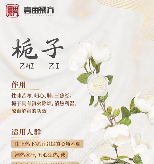 枙子花的花语代表了什么？它有什么特别的含义？