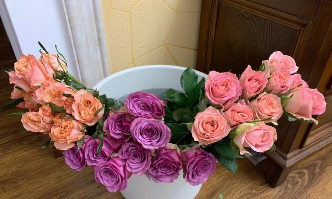 橘粉色的微光花语是什么？橘粉色花在花语中象征什么？