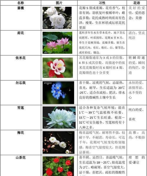 棕榈枝的花语通常传达什么信息？