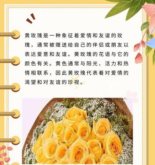 玫瑰花语的真正含义是什么？它有哪些不同的解释？