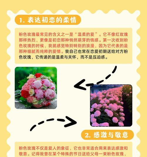 玫瑰花语的真正含义是什么？它有哪些不同的解释？