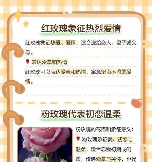 玫瑰花语的真正含义是什么？它有哪些不同的解释？