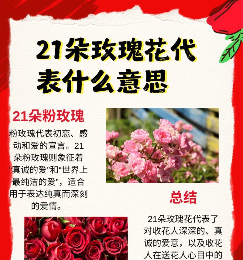 玫瑰花数量不同代表什么？每朵玫瑰的花语是什么？