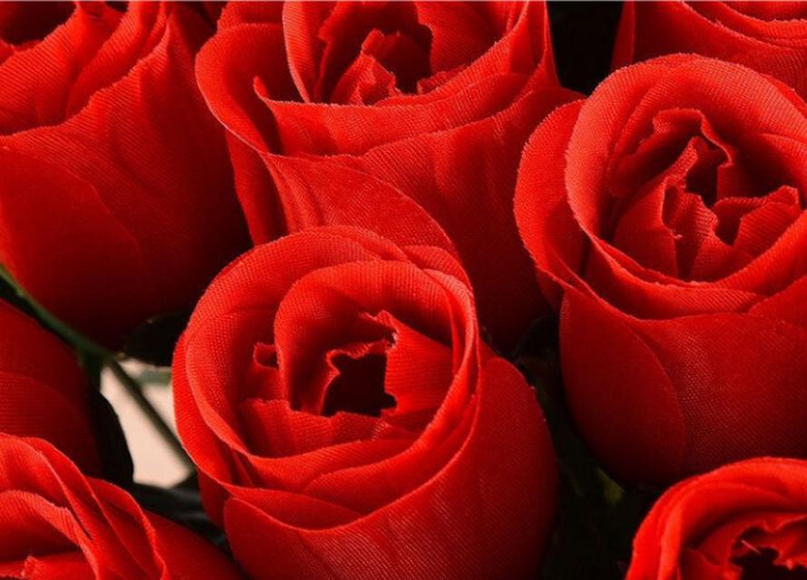 玫瑰花数量不同代表什么？每朵玫瑰的花语是什么？