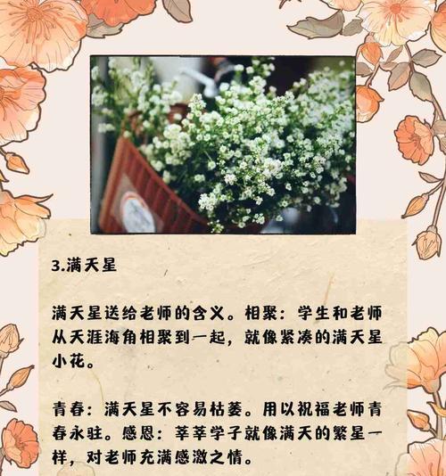 祝福祝愿的花语是什么花？哪种花代表祝福祝愿？