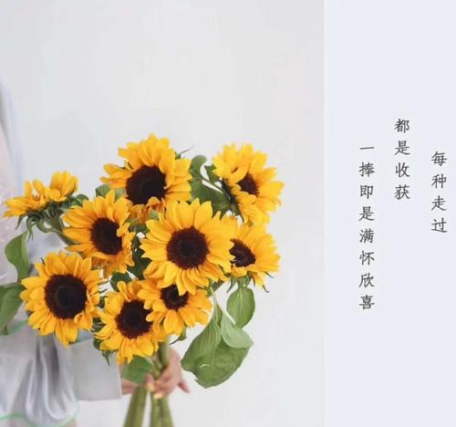 烧一瓶的花语代表什么含义？