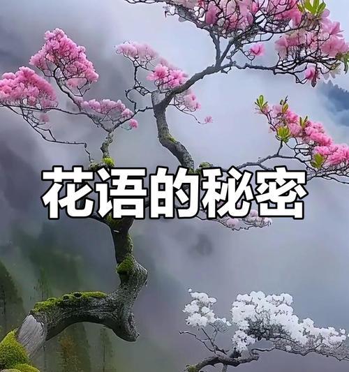霸气孤独的花语有何寓意？