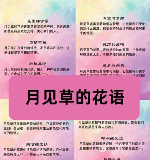 霸气孤独的花语有何寓意？