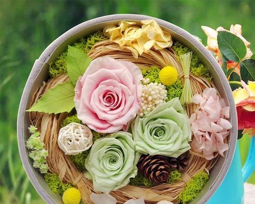 白沙蒿花语是什么？佛前供花花语写什么比较合适？