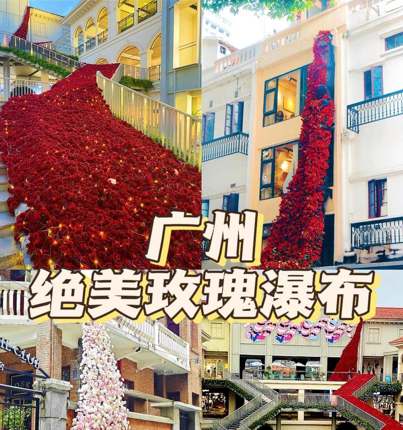 玫瑰花瀑布象征着什么含义？