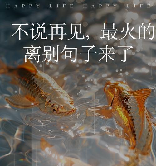 体面再见的花语代表什么？哪种花象征着优雅告别？